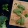 Broccoli - Puree Food Mold